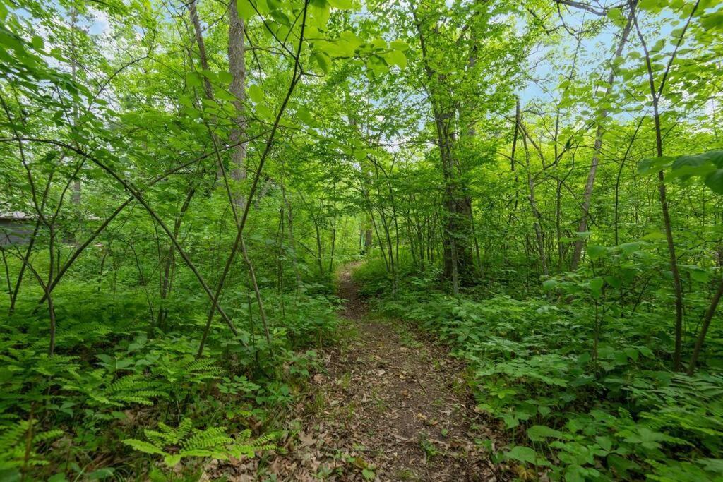 Wilderness Meadows Βίλα Pine City Εξωτερικό φωτογραφία